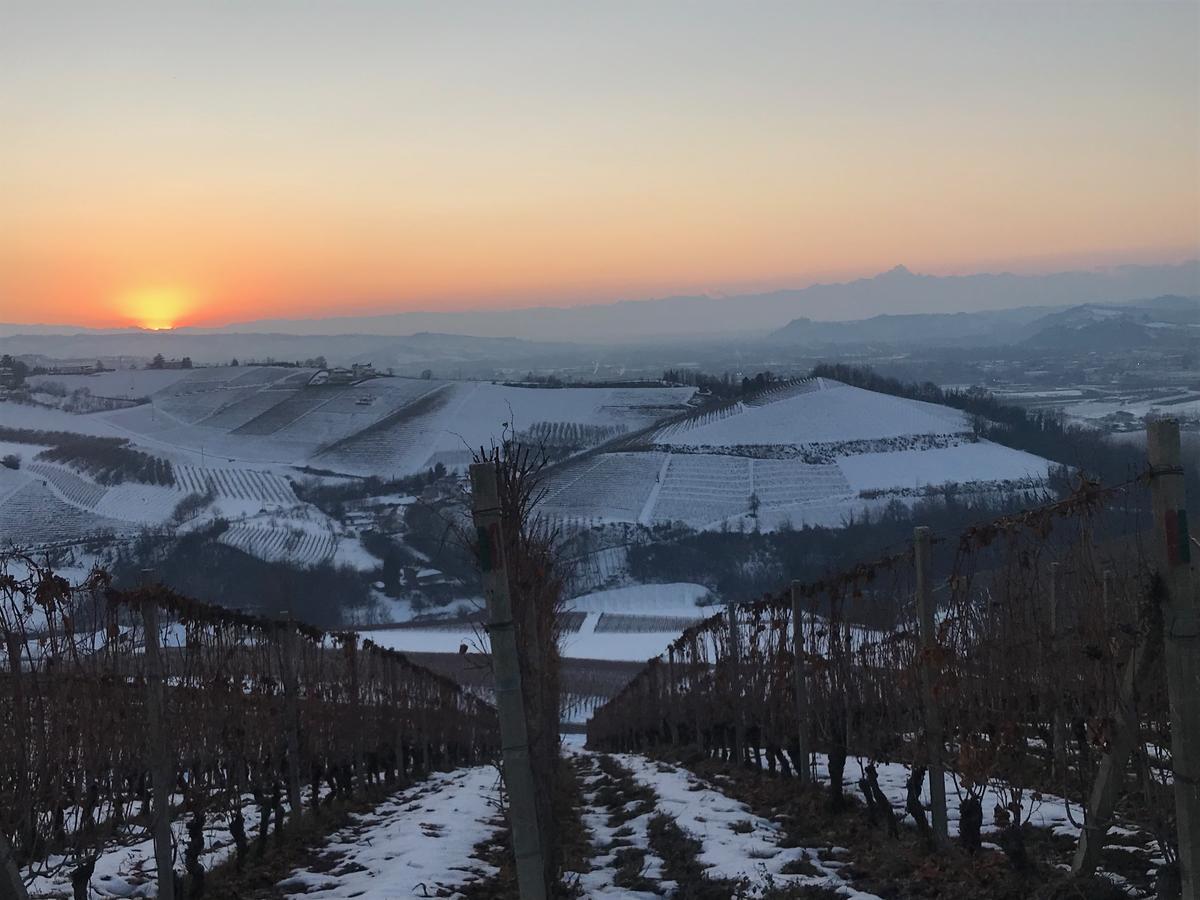 Agriturismo Tre Stelle Барбареско Екстер'єр фото